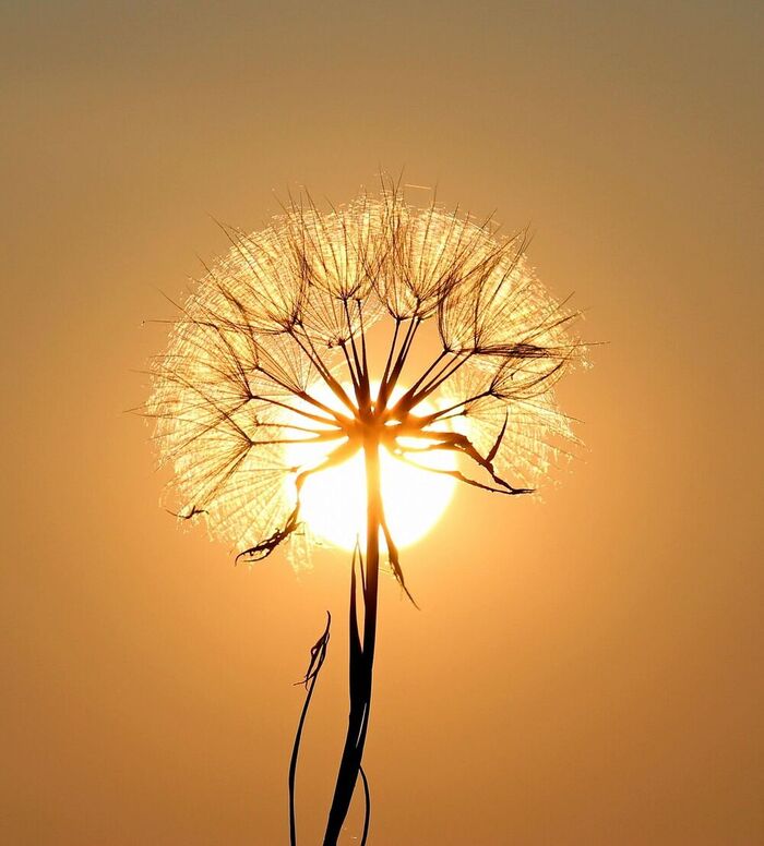 Sonne Hitze Sonne Hitze